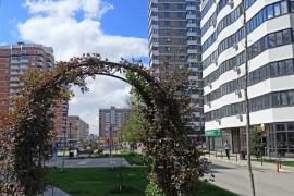 Однокомнатная квартира 