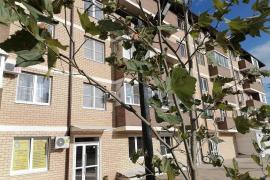 Однокомнатная с большой кухней