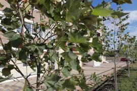 Однокомнатная сдача после НГ