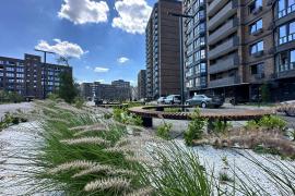 Трехкомнатная квартира