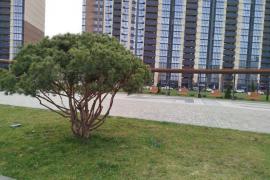 Двухкомнатная кв-ра, две лоджии