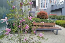 Евро3комнатная с большой кухней