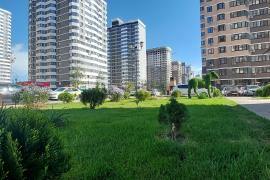 Трехкомнатная квартира 