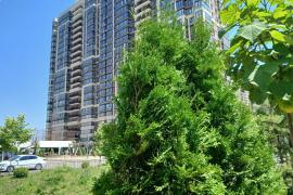 Двухкомнатная квартира