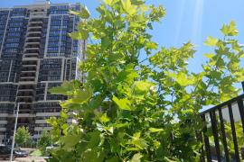 Двухкомнатная квартира