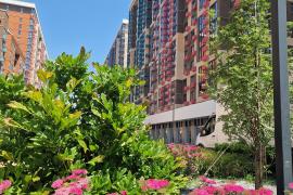 Двухкомнатная квартира 