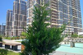 Двухкомнатная квартира