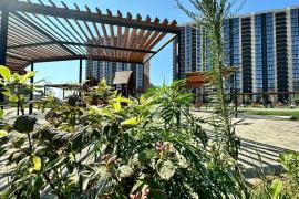 СТУДИЯ без ПВ с ремонтом!