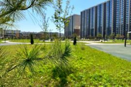 ТРЕХКОМНАТНАЯ квартира