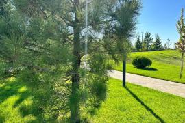 ОДНОКОМНАТНАЯ с ЧАСТИЧНЫМ ПВ