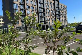 3 комнатная квартира