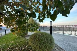 однокомнатная квартира