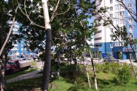 Двухкомнатная к-ра с ремонтом