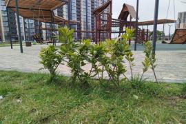 Трёхкомнатная с большой кухней