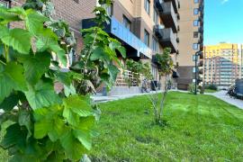 Двухкомнатная квартира