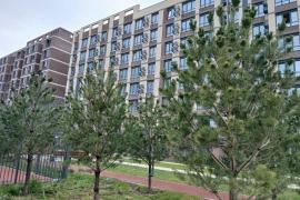 Двухкомнатная квартира