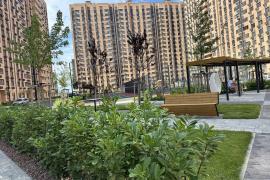 Однокомнатная квартира