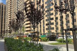 Однокомнатная квартира