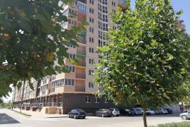 Двухуровневая, видовая квартира!