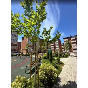 квартира в сданном доме