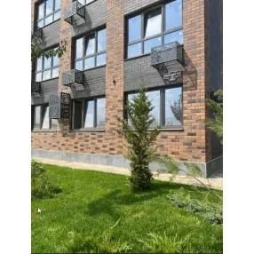 Двухкомнатная, большая кухня