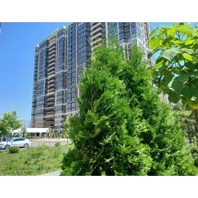 Трехкомнатная квартира