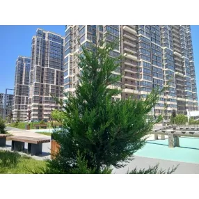 Двухкомнатная квартира