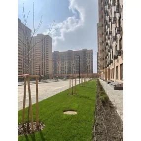 Двухкомнатная квартира